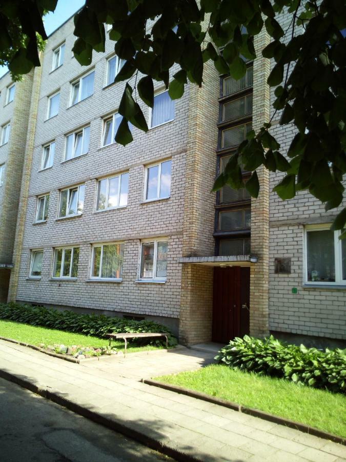 Nakvyne Anyksciu Centre Lägenhet